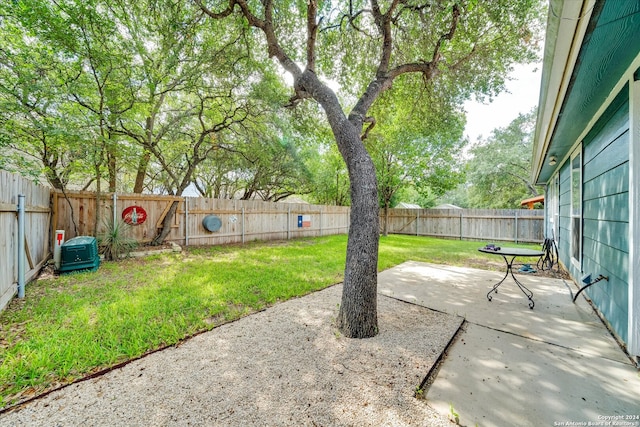 view of yard with a patio area