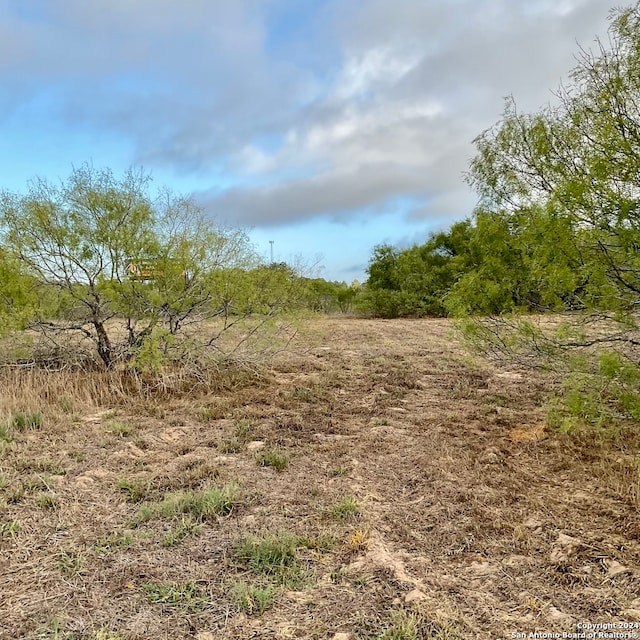 Listing photo 3 for TBD US Highway 181, Floresville TX 78114