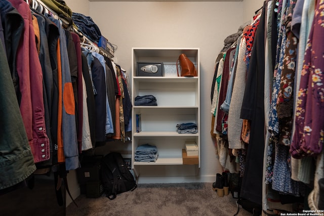 spacious closet featuring carpet floors