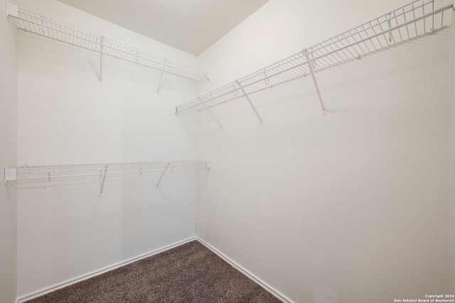 spacious closet featuring carpet flooring