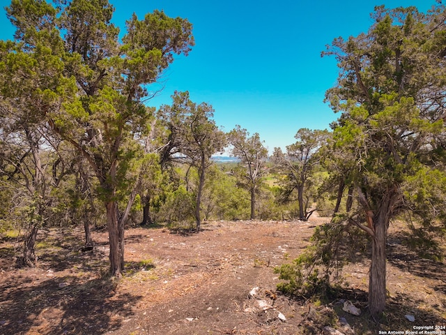 view of landscape