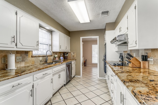 kitchen featuring white cabinets, extractor fan, tasteful backsplash, and sink