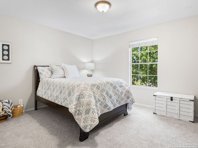 bedroom with carpet floors