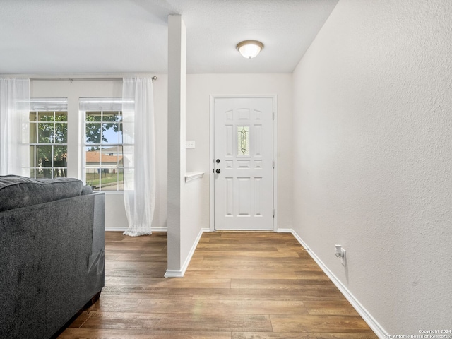 entrance foyer featuring wood-type flooring