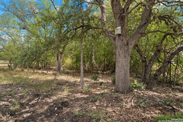 Listing photo 3 for TBD Highway 90, Castroville TX 78009