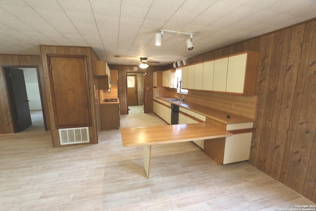 kitchen with ceiling fan, sink, wooden walls, rail lighting, and light hardwood / wood-style floors