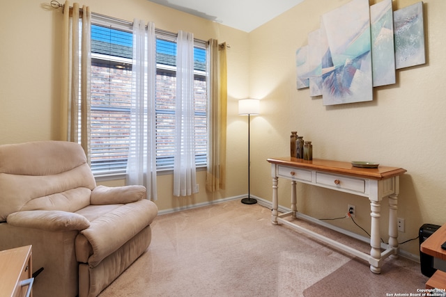 sitting room with light colored carpet