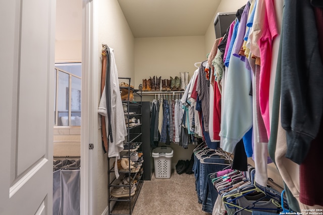 walk in closet featuring carpet