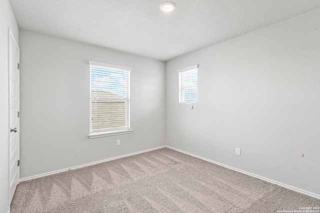 carpeted empty room with a wealth of natural light