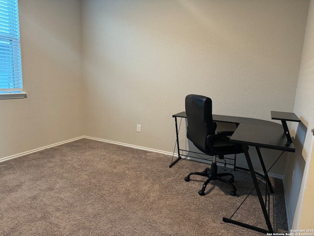 office space featuring carpet