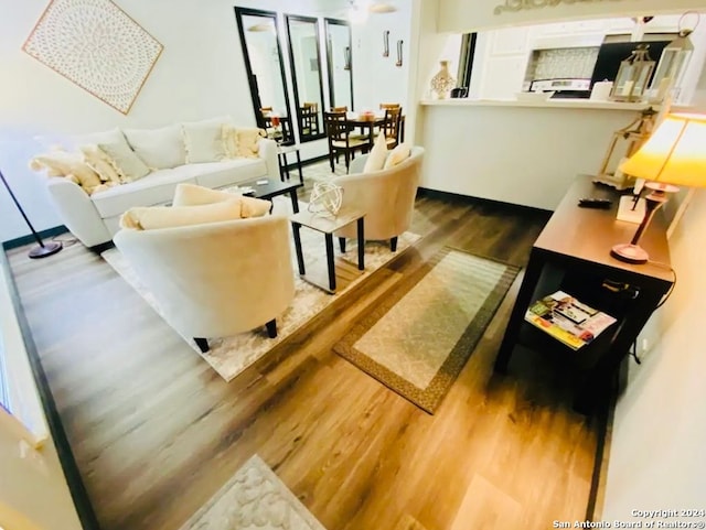 living room featuring hardwood / wood-style floors