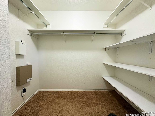 walk in closet featuring carpet flooring