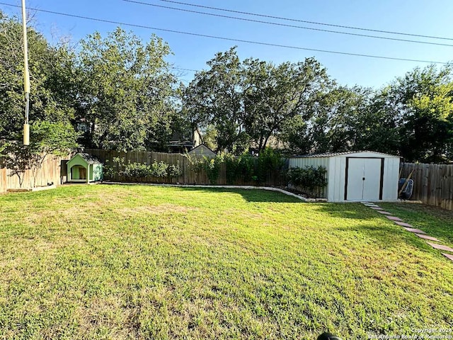 view of yard with a shed