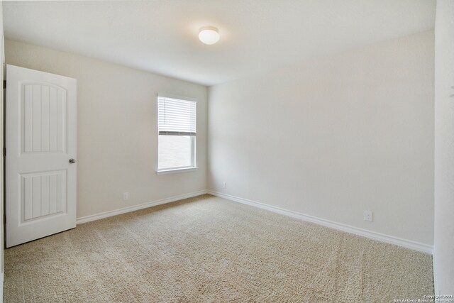 spare room with carpet floors