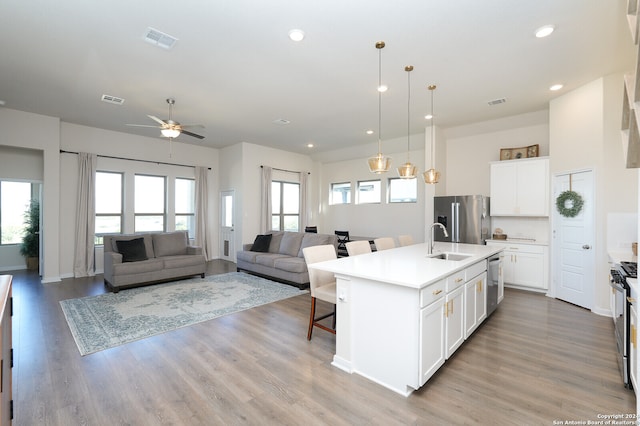 kitchen with sink, a kitchen island with sink, plenty of natural light, and stainless steel appliances