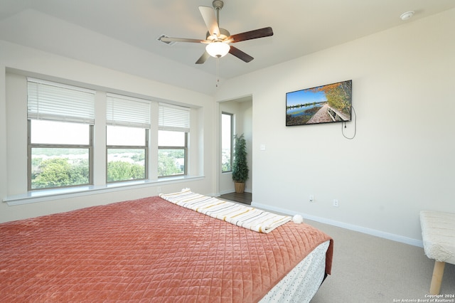 carpeted bedroom featuring ceiling fan and multiple windows