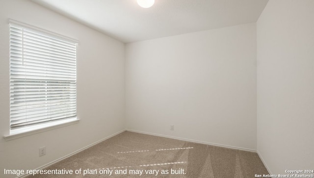 unfurnished room featuring a wealth of natural light and carpet