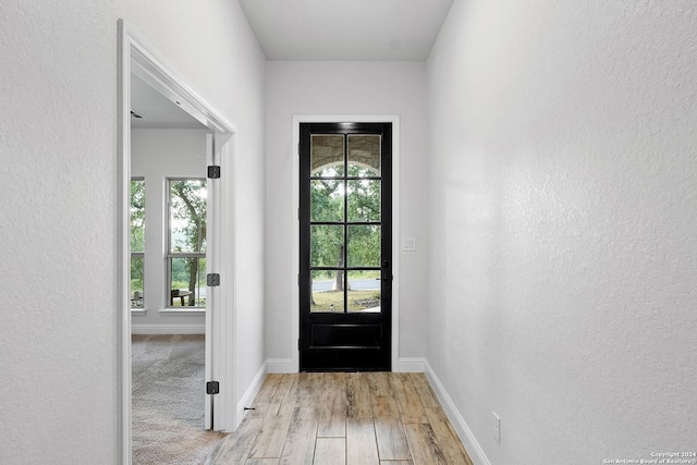 entryway featuring light wood-type flooring and a wealth of natural light