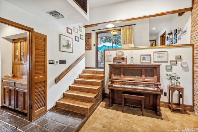 stairs featuring carpet floors