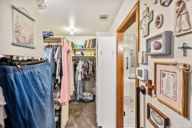 walk in closet featuring carpet flooring