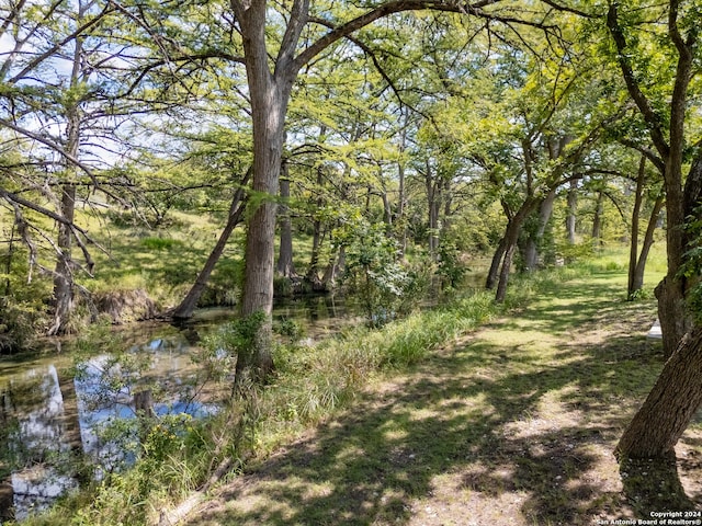 view of local wilderness