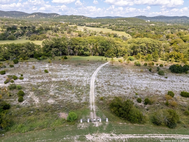 birds eye view of property featuring a mountain view