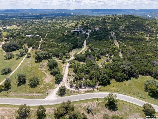 birds eye view of property featuring a mountain view