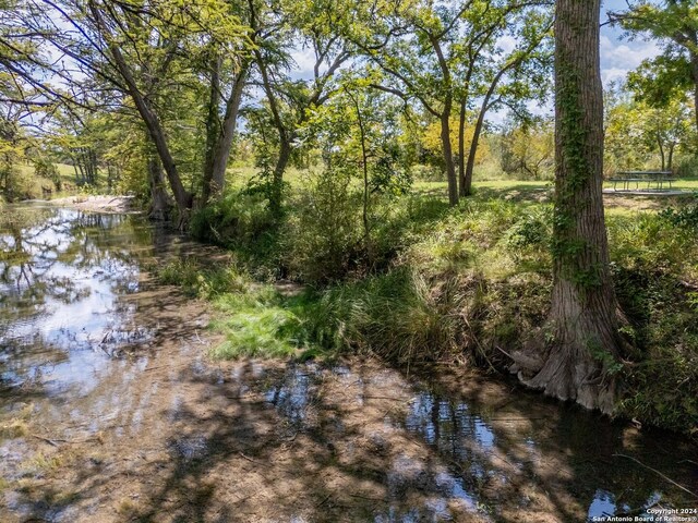 view of nature