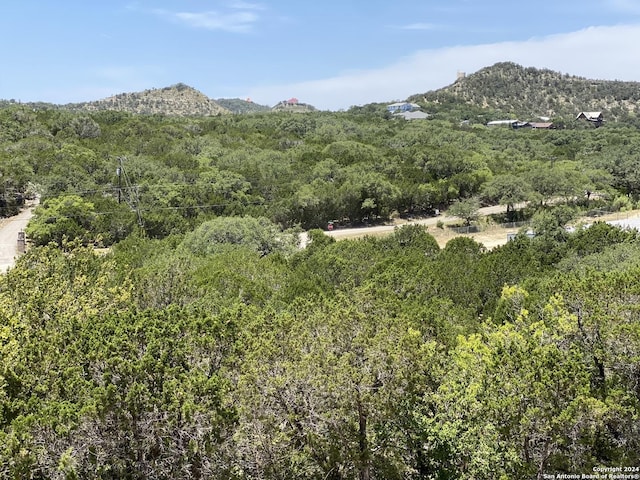 mountain view with a wooded view