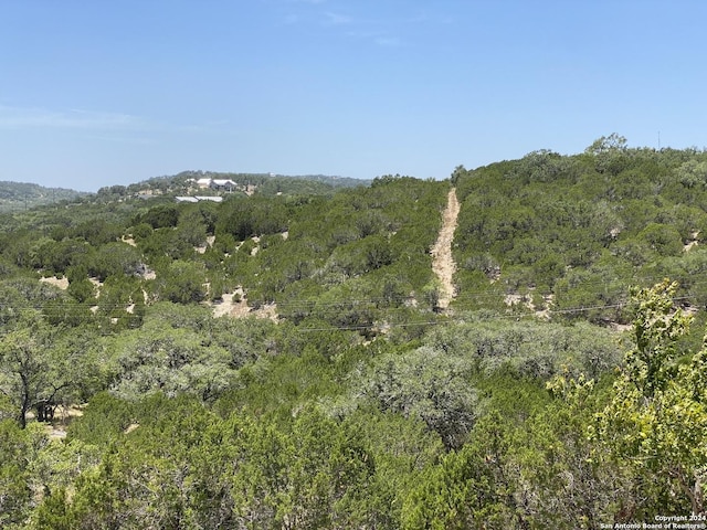mountain view with a wooded view