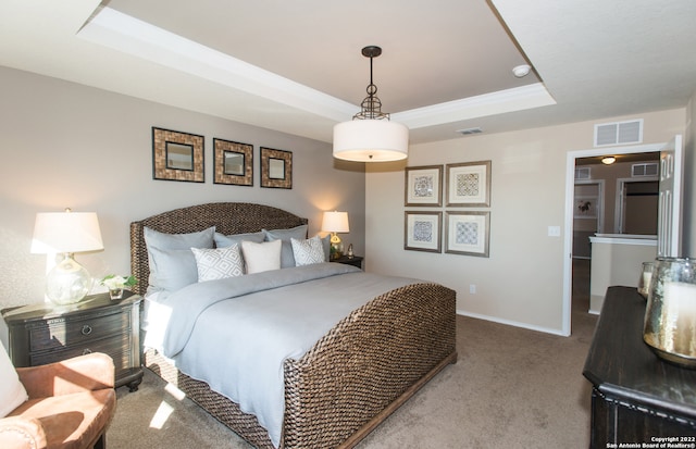 bedroom with a raised ceiling and carpet flooring