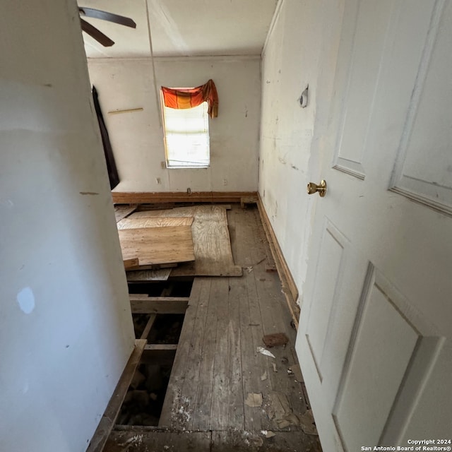 corridor with dark wood-type flooring