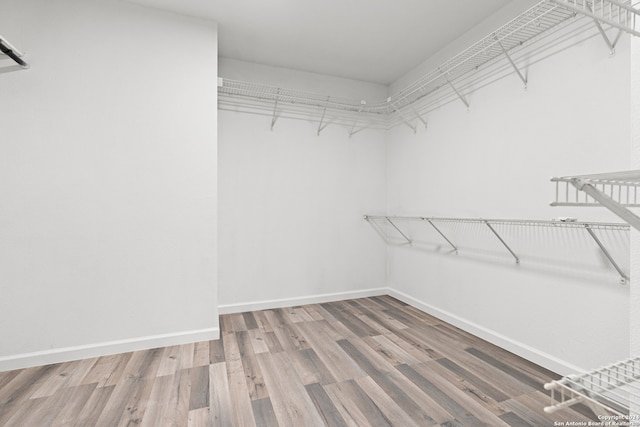 walk in closet with hardwood / wood-style floors