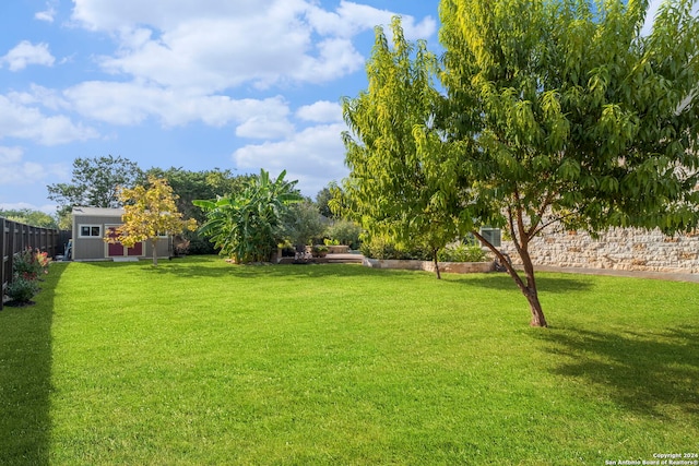 view of yard featuring a shed