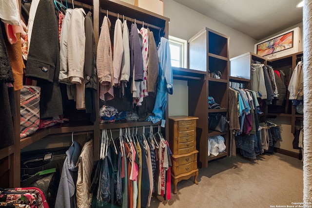 walk in closet featuring carpet floors