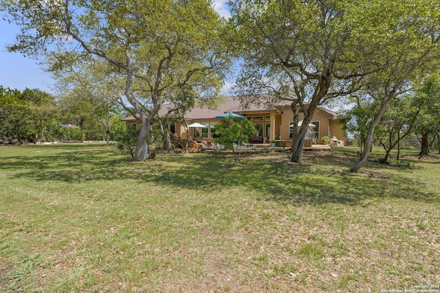 view of yard featuring a patio