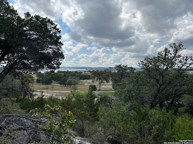 Listing photo 3 for TBD Grosbeak, Spring Branch TX 78070