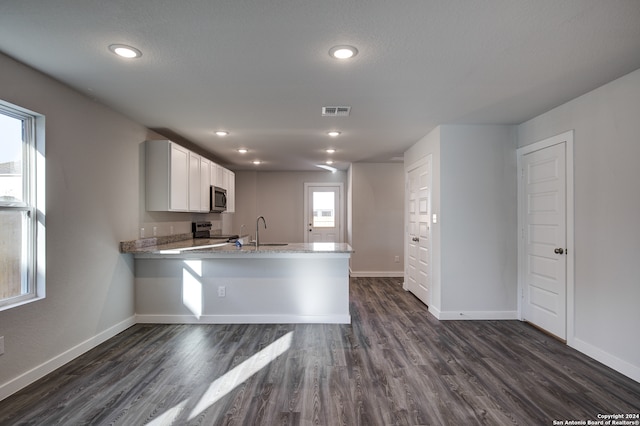 kitchen with kitchen peninsula, stainless steel appliances, a wealth of natural light, and dark hardwood / wood-style flooring