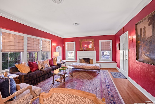 living room with hardwood / wood-style floors and ornamental molding