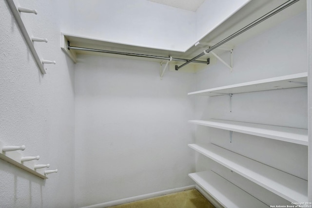 walk in closet featuring carpet flooring