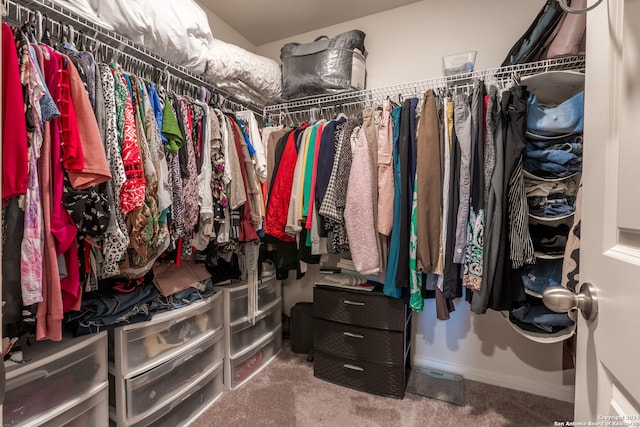 spacious closet with carpet floors