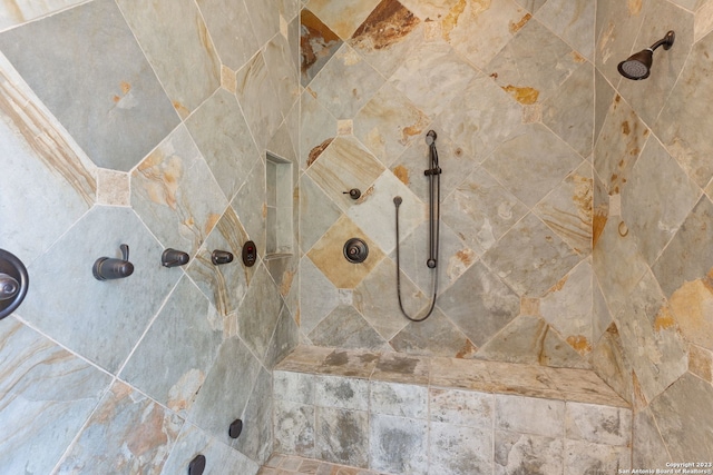 room details with tiled shower