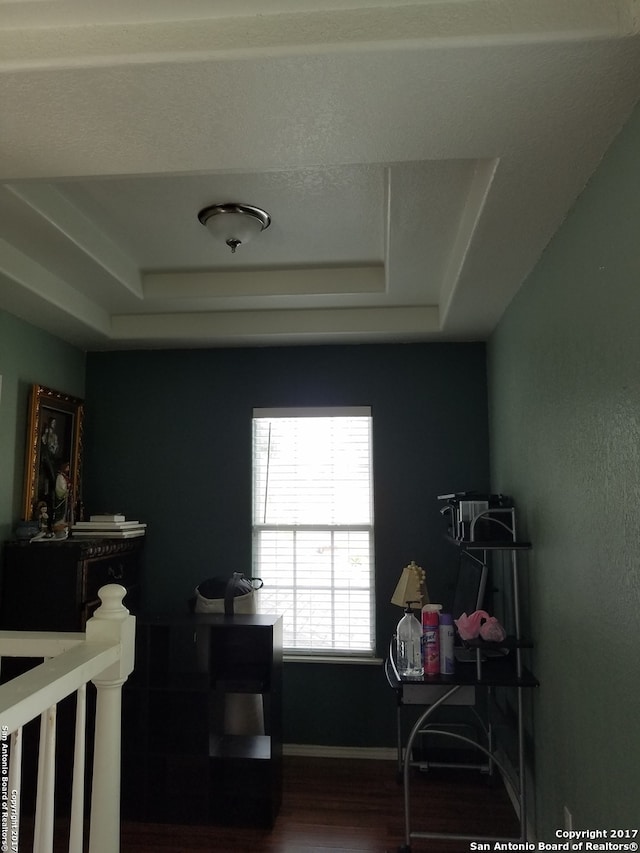 bedroom featuring wood-type flooring and a tray ceiling