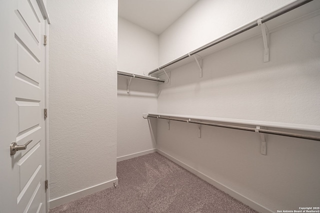 10280 Bartenheim Dr, Schertz, TX 78154 - spacious closet featuring carpet