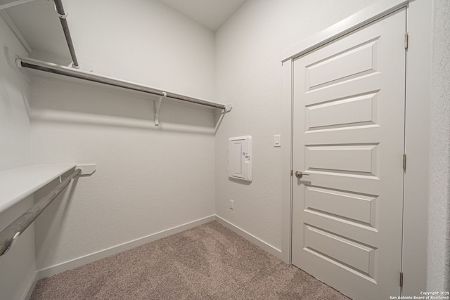 10280 Bartenheim Dr, Schertz, TX 78154 - walk in closet with carpet