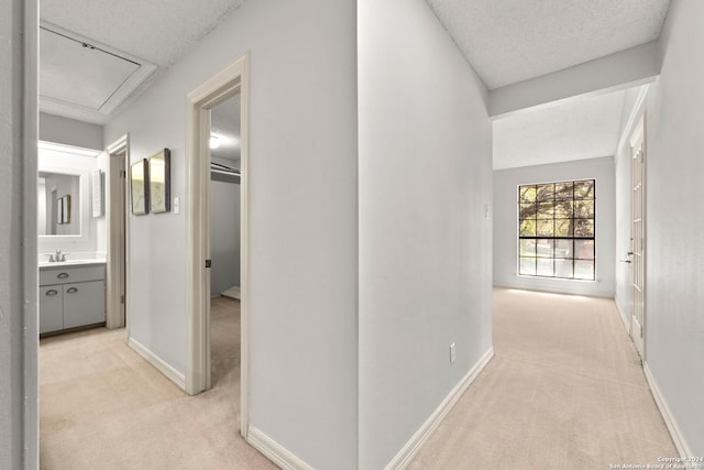 hall featuring light carpet, a textured ceiling, and sink