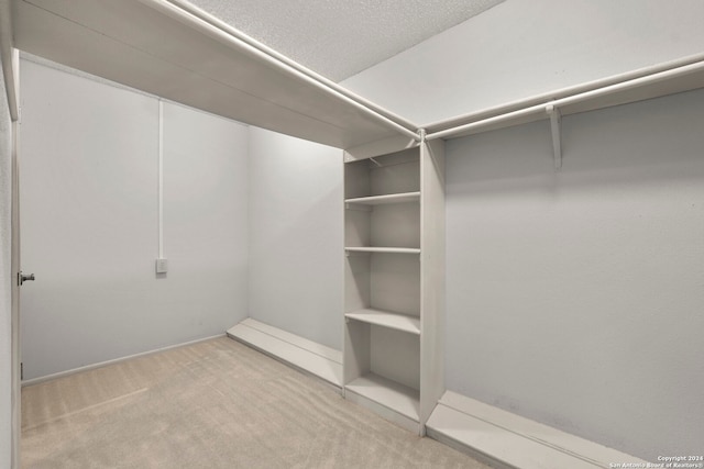 walk in closet with light colored carpet