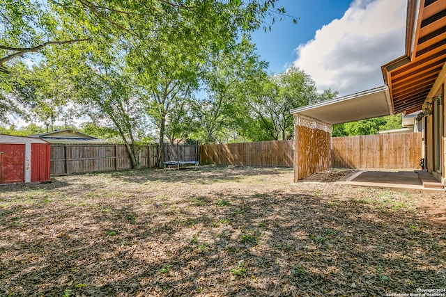 view of yard featuring a shed