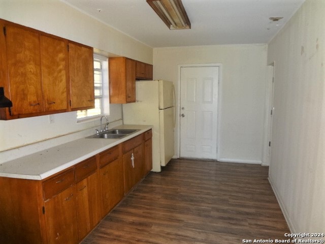 kitchen with dark hardwood / wood-style flooring, sink, and white fridge