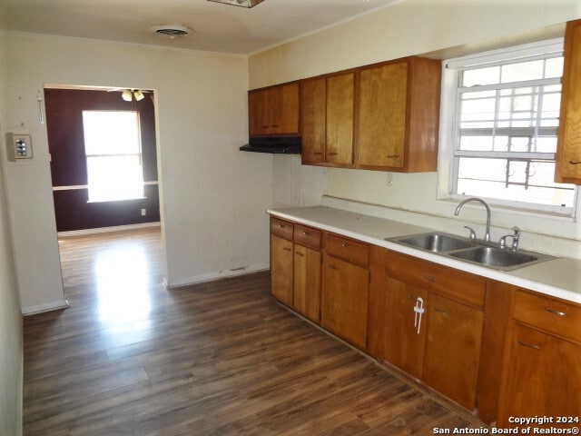 kitchen with dark hardwood / wood-style floors, sink, and a healthy amount of sunlight